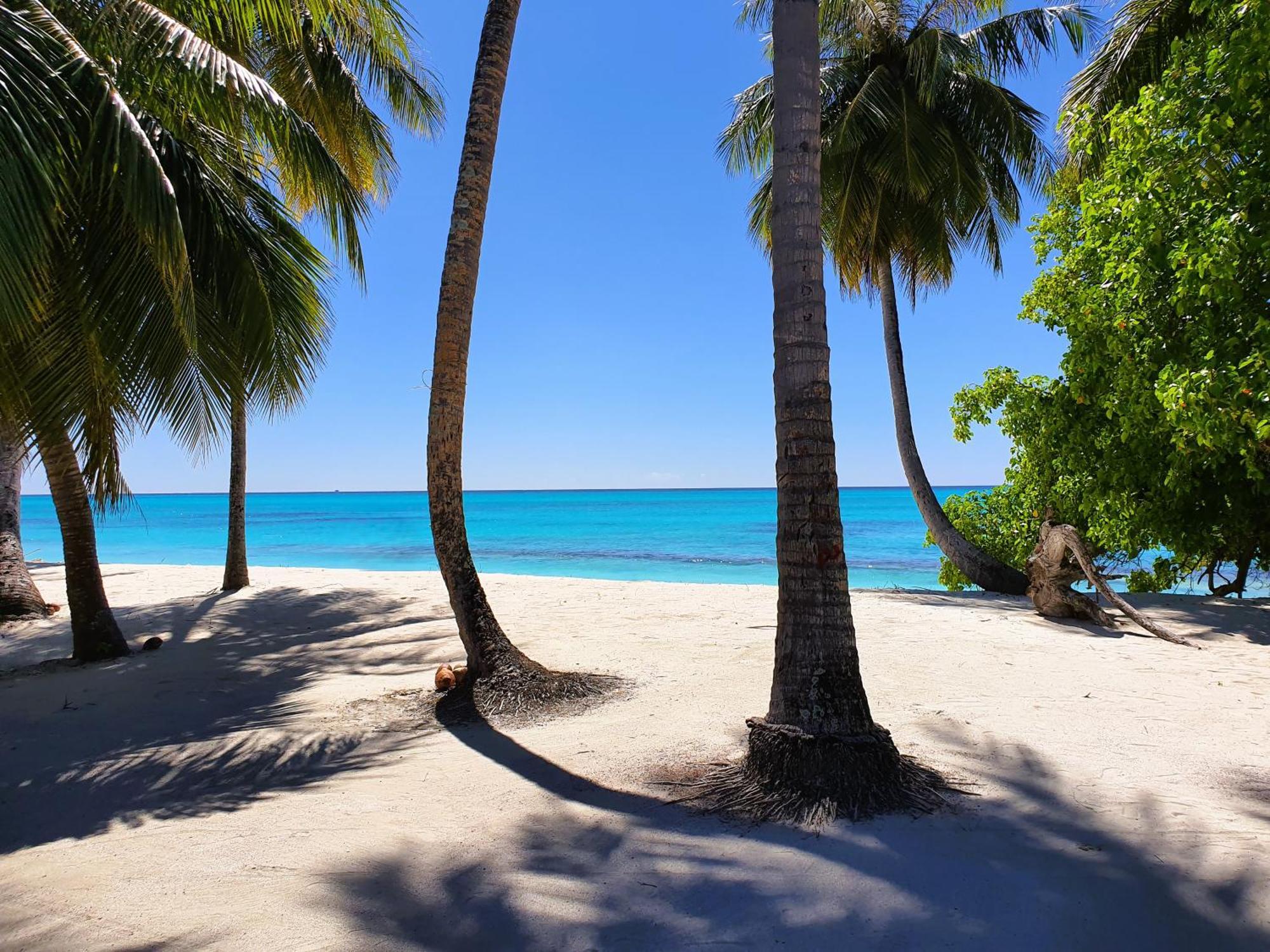 The Fulhadhoo Beach Cottage ภายนอก รูปภาพ